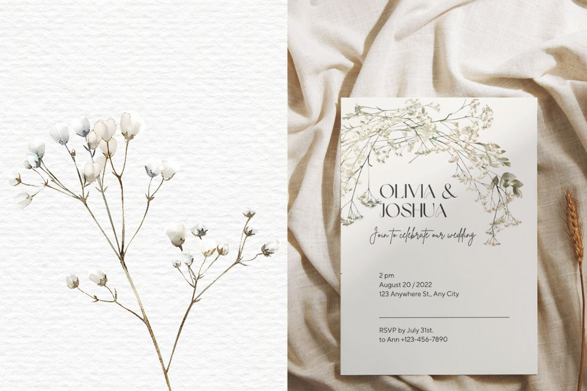 Gypsophila clipart, Baby Breath PNG, a Decorative Illustration by Invite to Clipart (Photo 4 of 7)