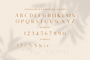 Monica - Classic & Elegant Sans, a Sans Serif Font by Mikhail Fukurou (Thumbnail 10 of 12)
