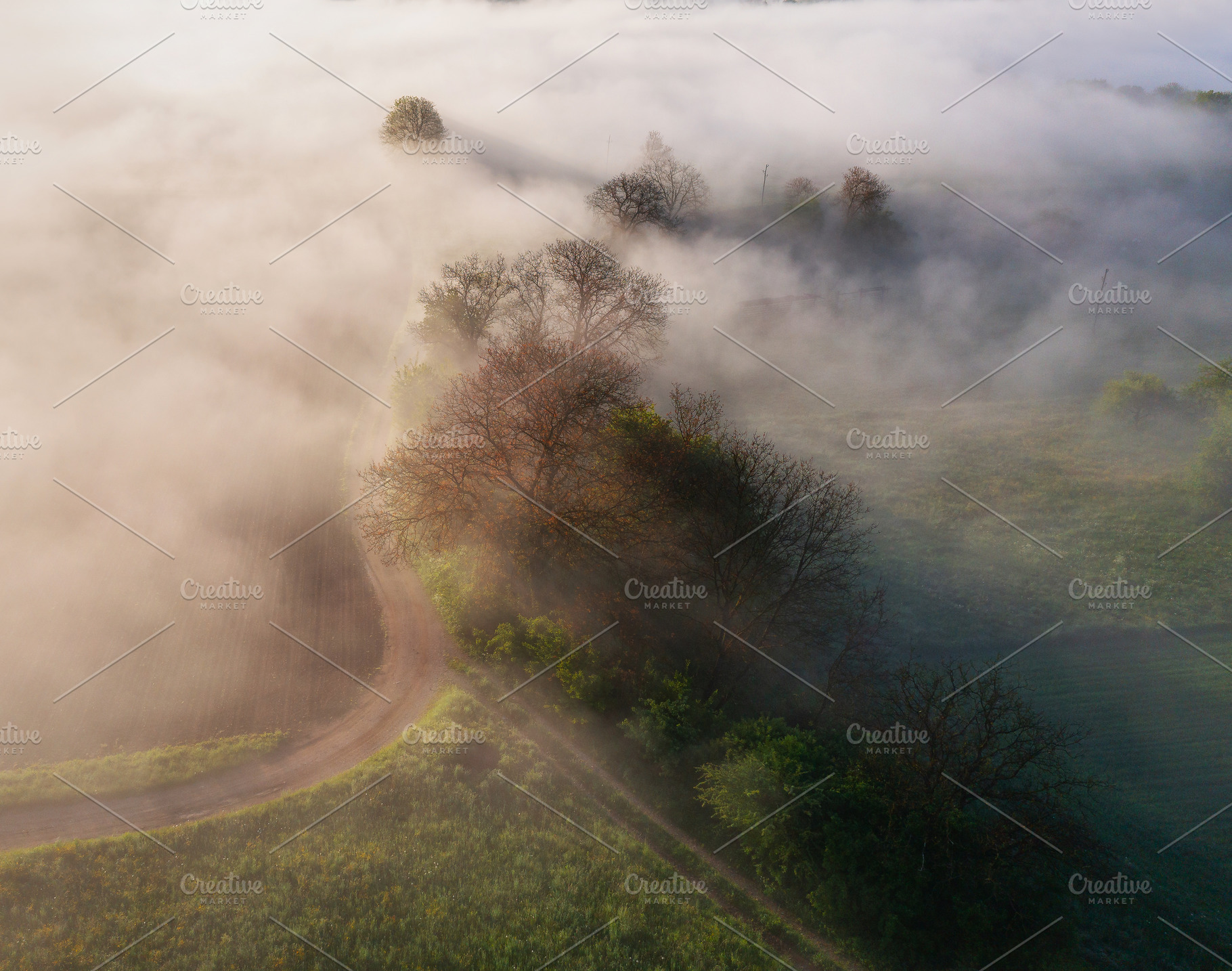 Farmland and countryside in the morning fog, a Nature Photo by Dreamy Pixel