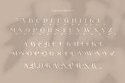 Cangkem || Elegant Display Serif, a Serif Font by BrandSemut (Thumbnail 18 of 20)