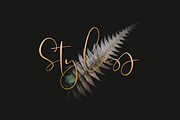 Moraless//Font Duo, a Script Font by GRAPHICPRESS (Thumbnail 6 of 10)