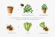 Home Garden watercolor collection, an Illustration by Natalia Fedorova (Thumbnail 6 of 10)