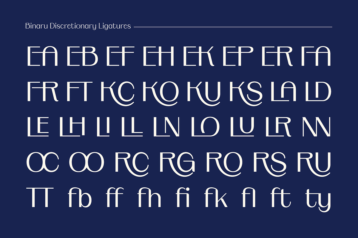 Binaru, a Sans Serif Font by Locomotype (Photo 9 of 10)