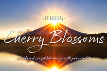 Cherry Blossoms Script Typeface