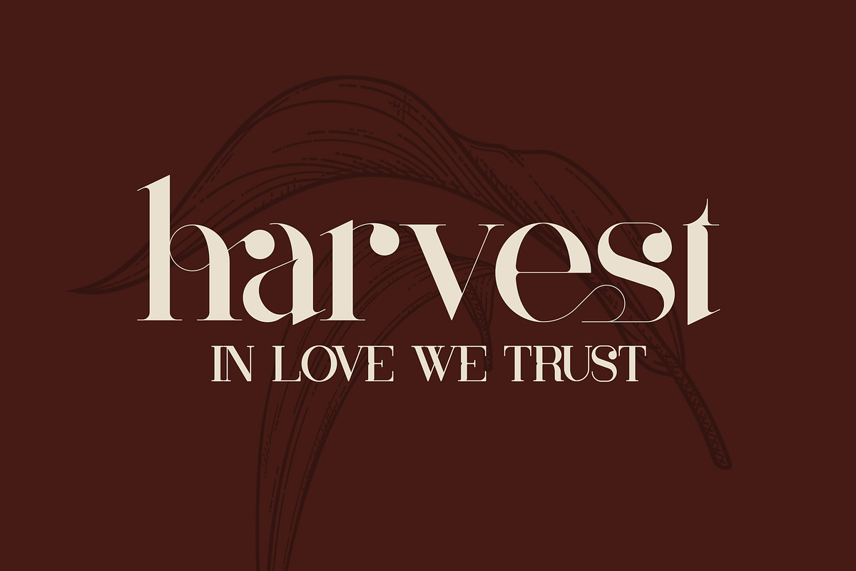 Mother Serif Typeface - 5 weights, a Serif Font by VP Fonts (Photo 6 of 13)