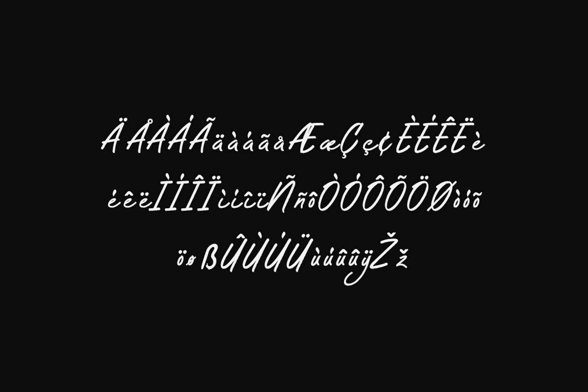 Grace Signature Bursh Signature Font, a Handwritten Font by UICreative (Photo 4 of 13)