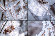 Frozen morning bundle /77pics, a Background Graphic by tydla (Thumbnail 3 of 12)