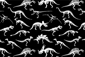 Dinosaurs Skeletons Patterns And Set