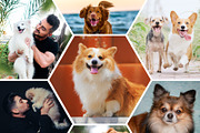 Collage Photo Frame Design Bundle, a Print Template by MRI STUDIO (Thumbnail 12 of 42)