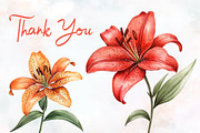 Lily Flower Watercolor Cliparts, an Illustration by RobertsArt (Thumbnail 5 of 7)