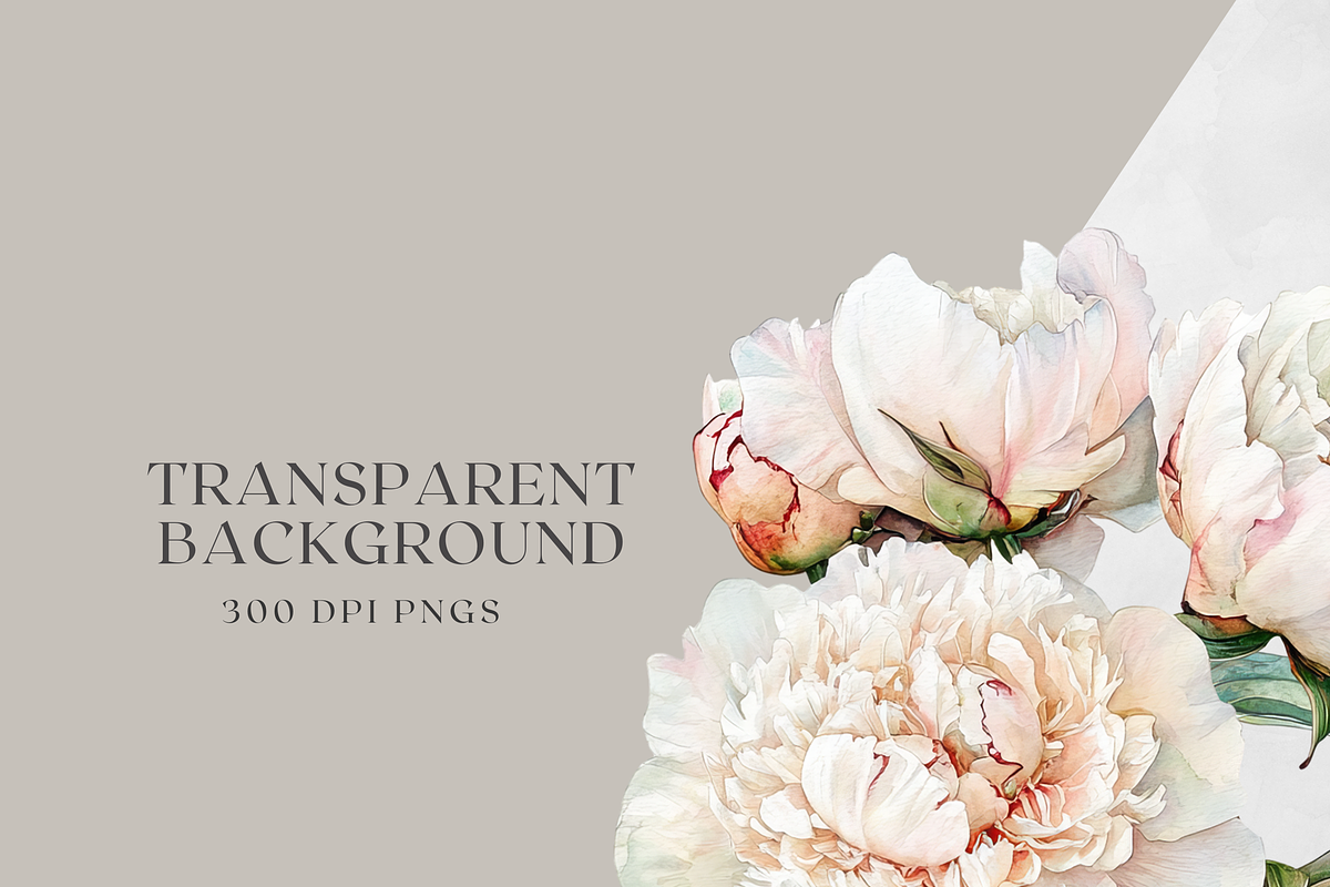 Peony Blush - Watercolor, a Decorative Illustration by ThaismotaCreativeCo (Photo 11 of 11)