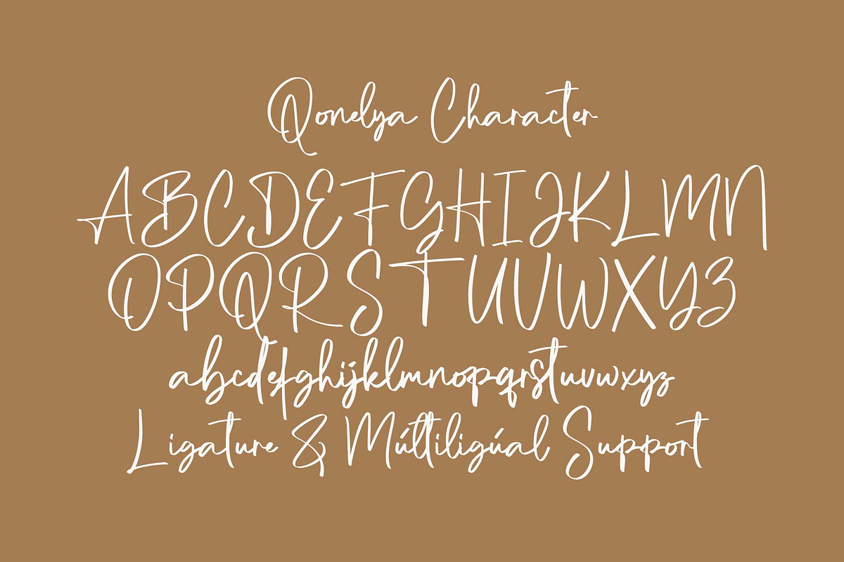 Qonelya, a Script Font by Pustudio (Photo 2 of 8)