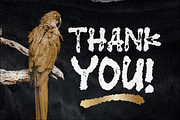 Law Of Aruch Natural Brush, a Blackletter Font by Glyphstyle (Thumbnail 9 of 9)