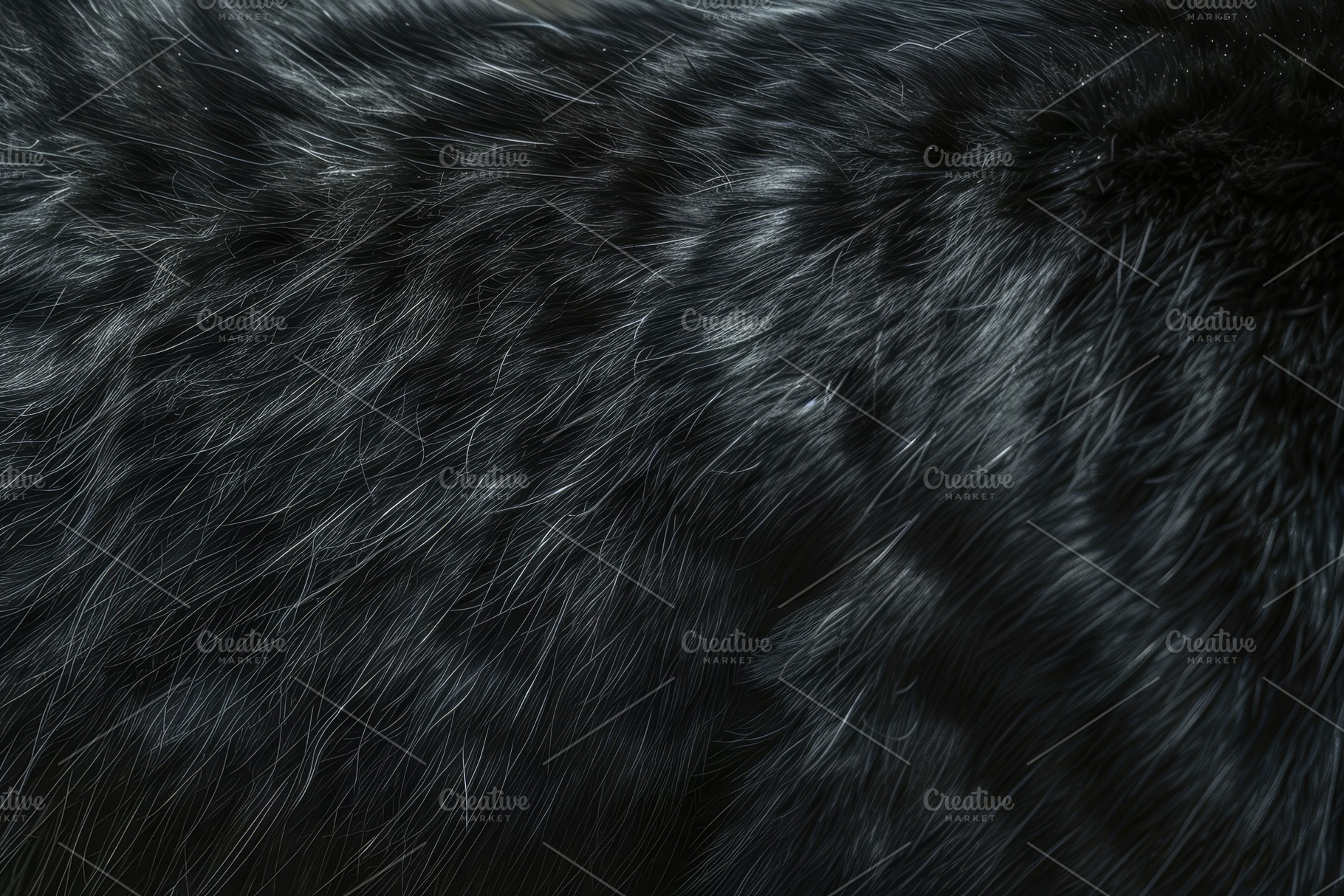 Detailed view of patches of black fu, a Photo by Iftikhar Alam