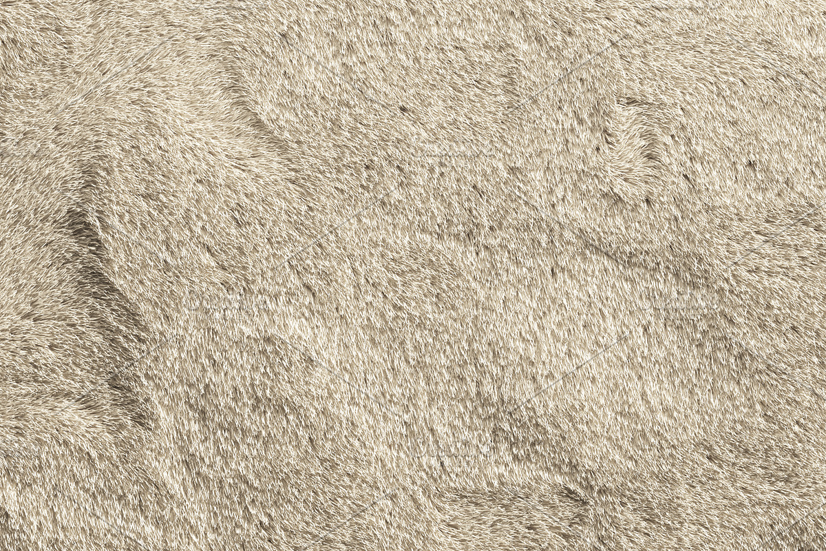 nuLoom Shaggy Area Rug (4 colors), a Furniture 3D Model by 3dmitruk (Photo 10 of 18)
