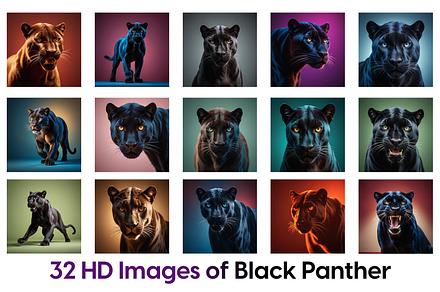 32 HD Images of Black Panther