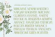Negkomis — Elegant Ligature Serif, a Serif Font by Enxyclo Studio (Thumbnail 22 of 26)