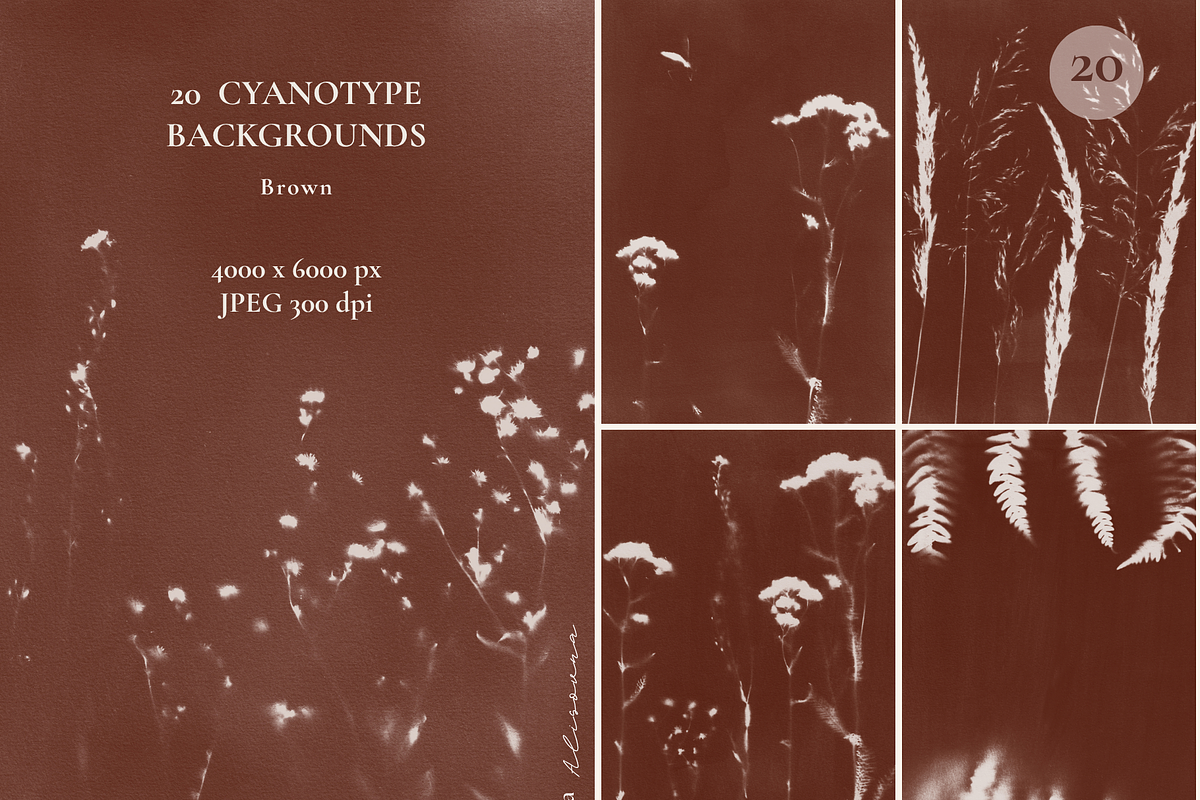 CYANOTYPE Botanical Backgrounds, a Background Graphic by Alisovna (Photo 9 of 15)
