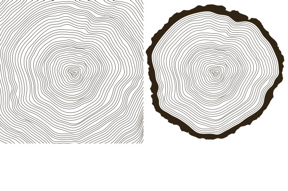 Tree Rings