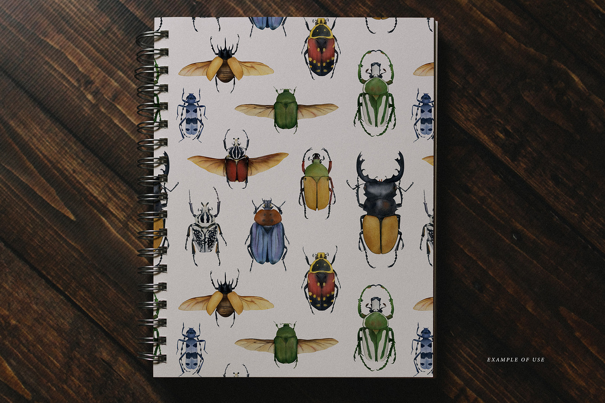 Beetles watercolor collection, an Animal Illustration by Diana Askarova Art (Photo 11 of 12)