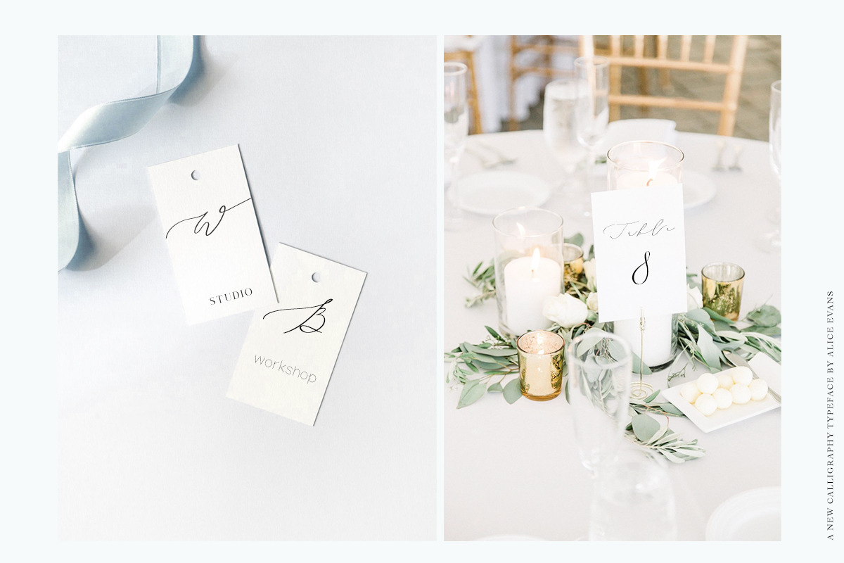 Aileen Miln Calligraphy typeface, a Script Font by Alice_Evans (Photo 6 of 12)