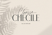 Hallie Thompson - Elegant Font Duo, a Font by Letterhend Studio (Thumbnail 10 of 10)
