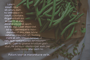 Bean Pillow, a Sans Serif Font by Treich Design (Thumbnail 3 of 3)