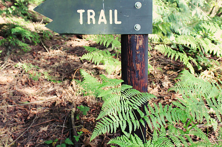 Trail Sign