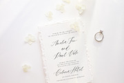 Saint Viet | Calligraphy Font, a Script Font by Calamar Studio (Thumbnail 6 of 29)