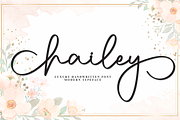 Hailey | Script Font, a Handwritten Font by Scratchones (Thumbnail 1 of 9)