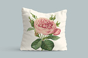 Vintage Illustrations of Flowers, an Illustration by Graphic Goods (Thumbnail 4 of 9)