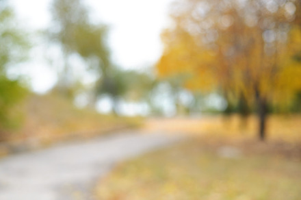 Blurred background of autumn park stock photo containing blurred and, an Abstract Photo by Anatoliy Sadovskiy