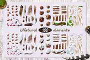 vector SET Winter Forest, an Animal Illustration by WINDmade (Thumbnail 4 of 19)