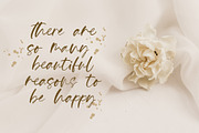 Tropical Garden, a Handwritten Font by Papermode Co. (Thumbnail 4 of 7)