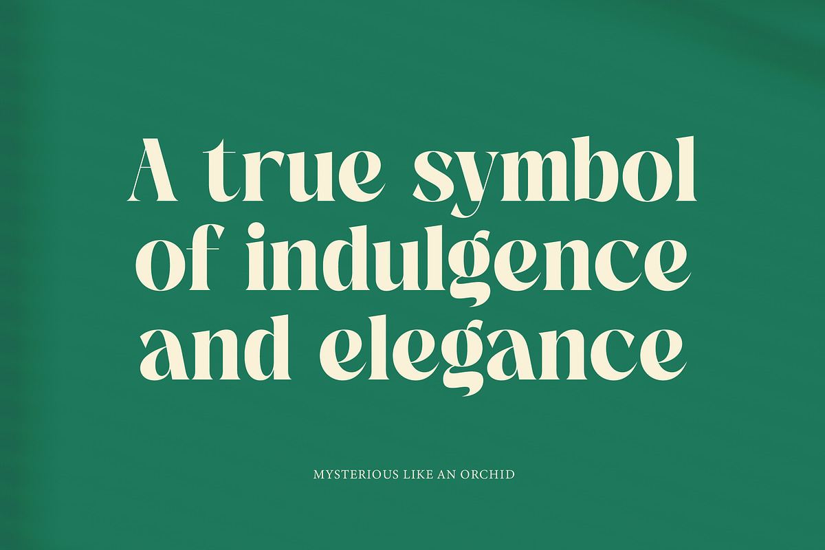 The Bencoy Modern Serif Display, a Serif Font by timelesstype.co (Photo 15 of 20)