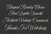 Elisabetta Script, a Script Font by Seniors (Thumbnail 9 of 10)