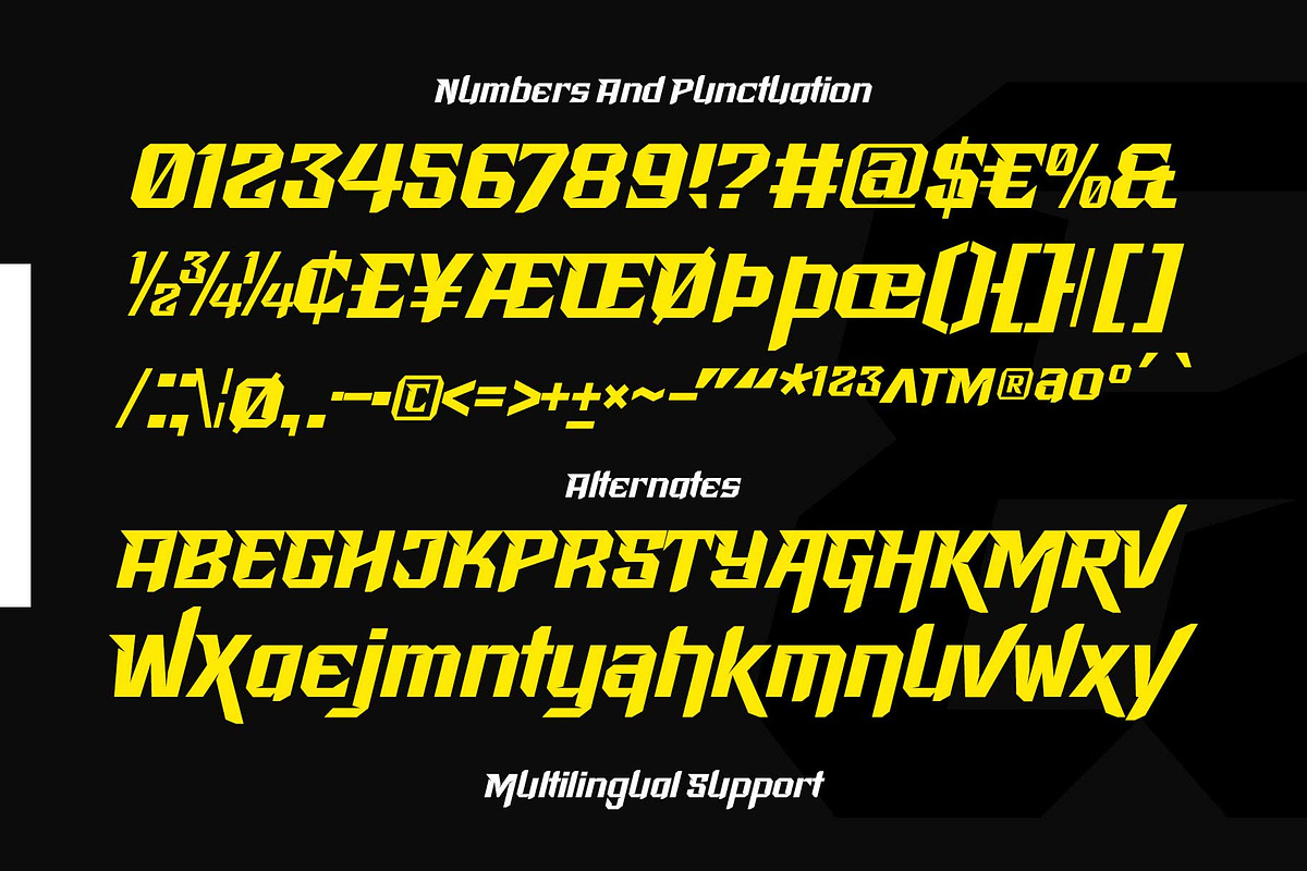 Racing Starter - Sporty Style, a Font by Novitype (Photo 10 of 11)