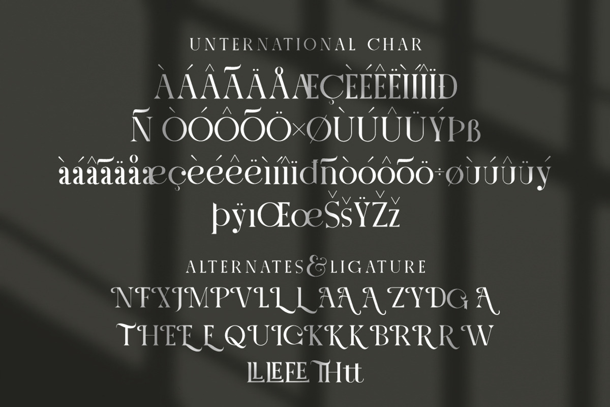 Letter Stylish Serif, a Serif Font by KennedyStudio (Photo 9 of 10)