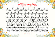 Ardilas, a Script Font by TM Type (Thumbnail 9 of 10)