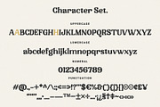 Sunday Bloom, a Serif Font by Prioritype Co (Thumbnail 10 of 11)