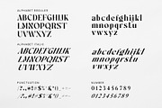 Cityhall History Family Serif Font, a Serif Font by Graphicxell (Thumbnail 8 of 8)