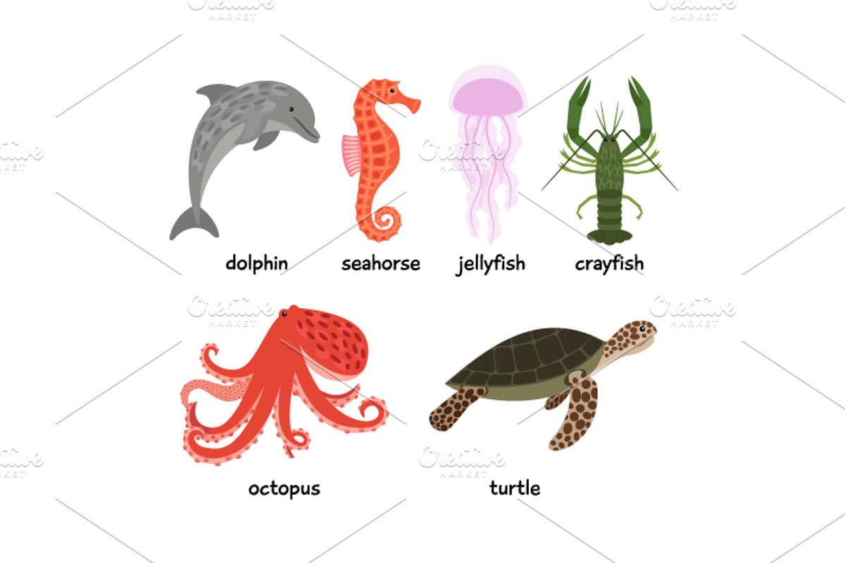 Sea animals set, an Object Graphic by ianakauri (Photo 3 of 4)
