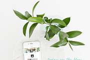 SIMPLE FRESH PHONE MOCKUPS, a Product Mockup by Mesmerizing Designs (Thumbnail 3 of 6)