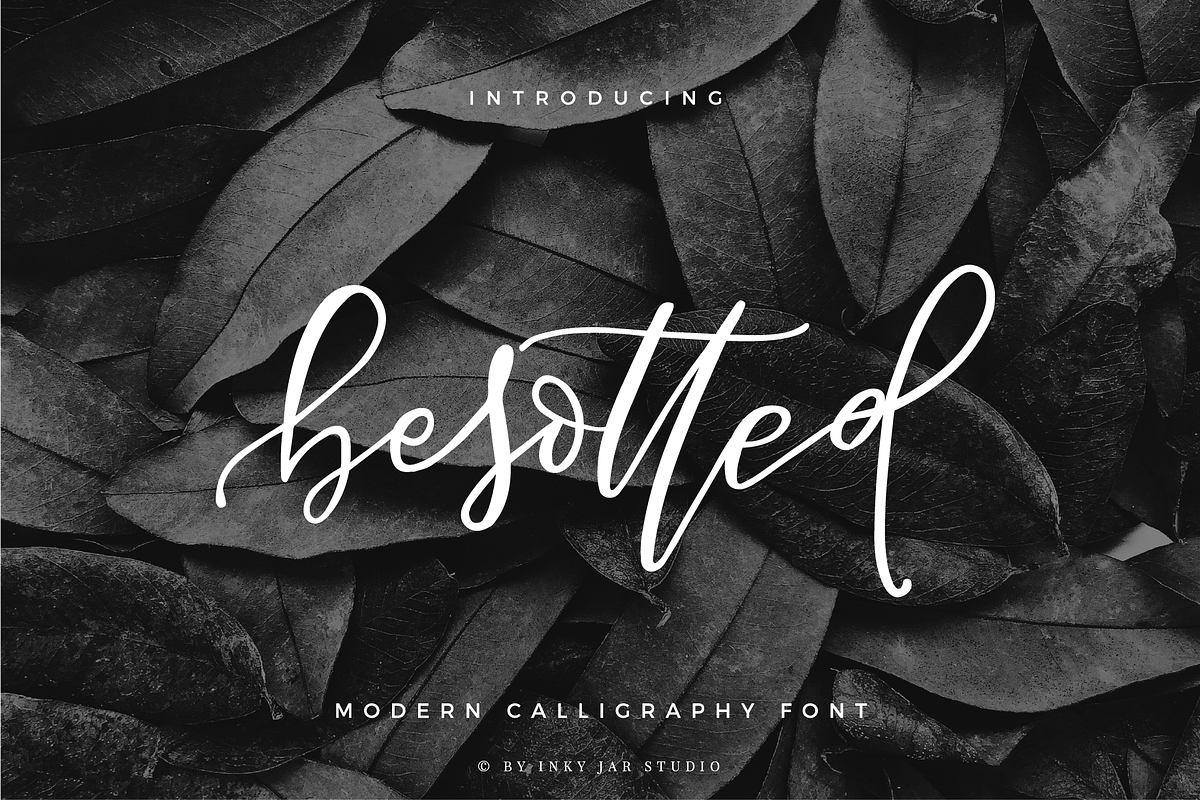 Besotted Modern Calligraphy Script