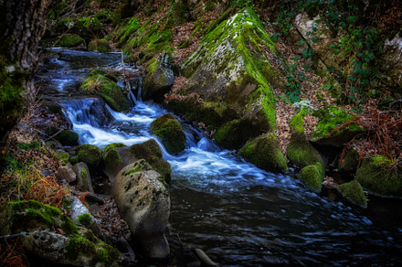 Wild River Landscape. Sanabria,Spain, a Nature Photo by Shootdiem