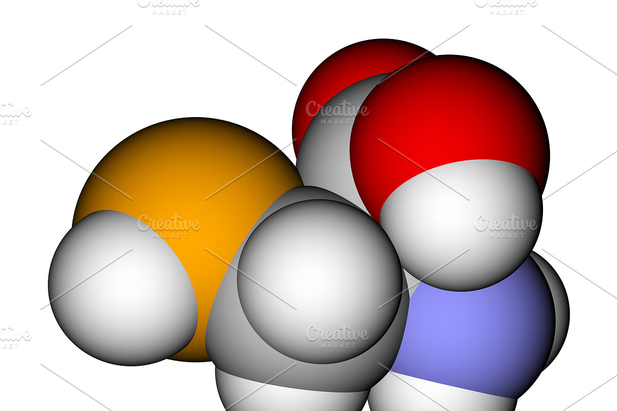 Amino acid selenocysteine space-fill, an Education Illustration by Leonid Andronov
