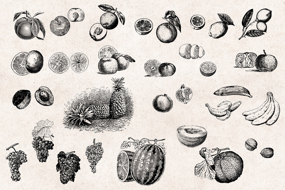 Fruits Engravings Set, an Object Graphic by Graphic Goods (Photo 4 of 5)