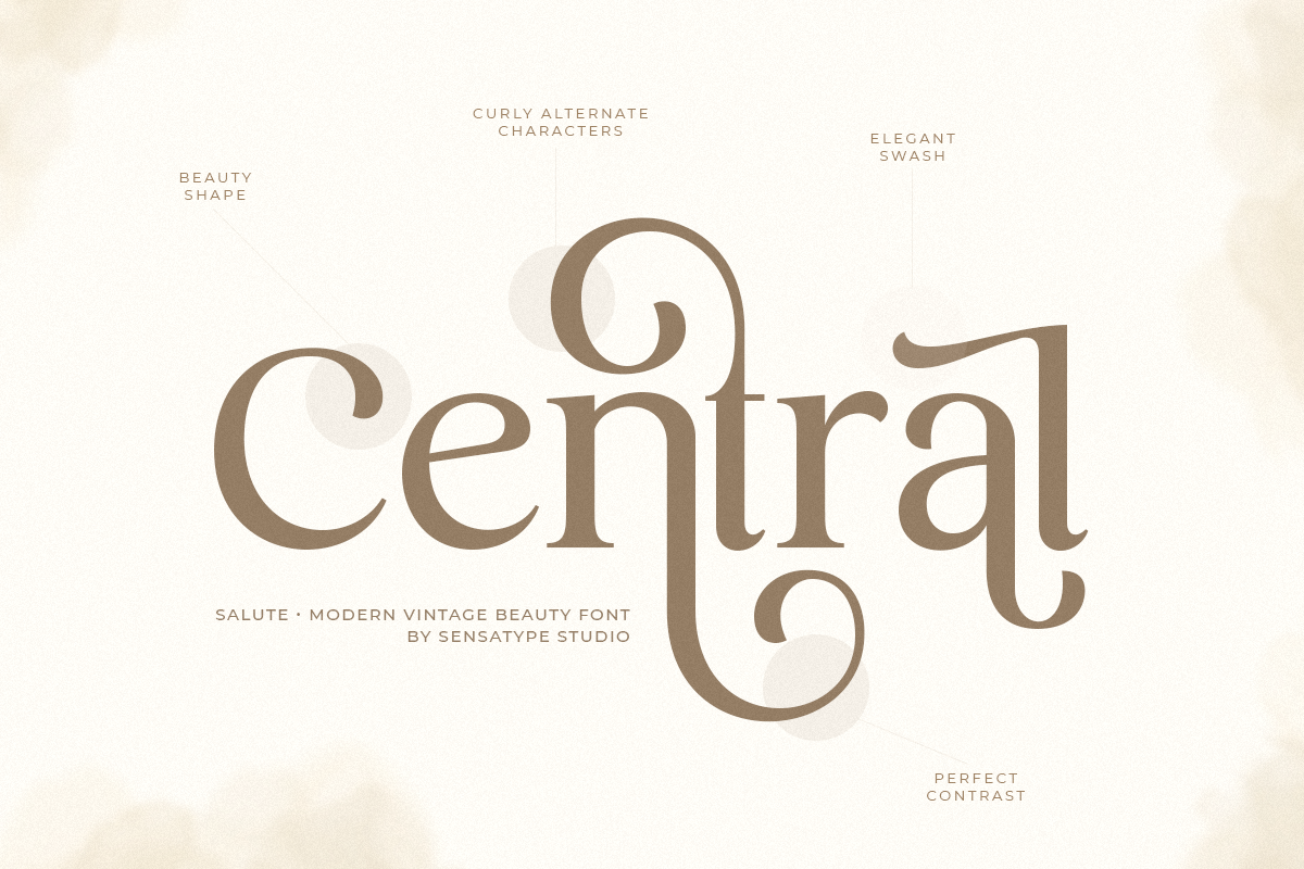 Salute - Modern Vintage Beauty Font, a Serif Font by Sensatype (Photo 13 of 21)