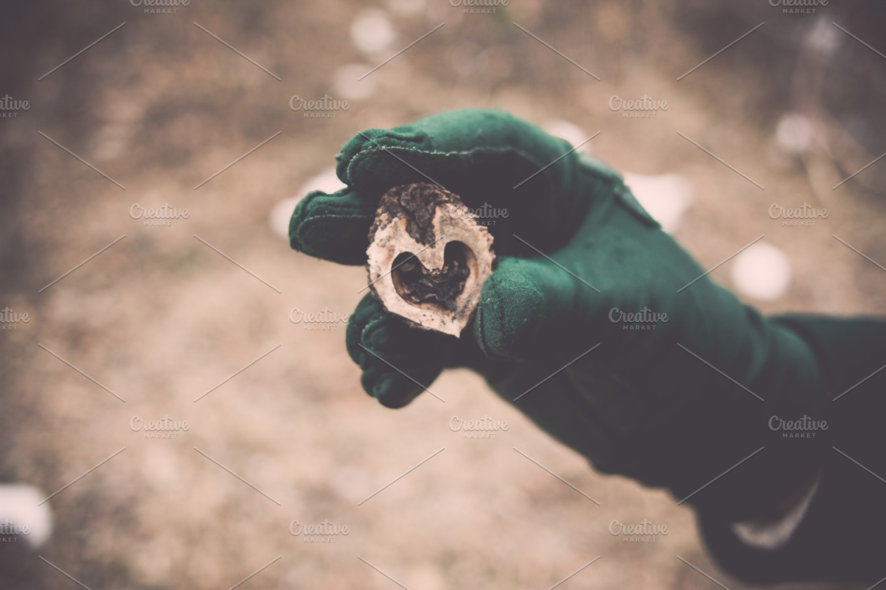 Heart in Hand, a Nature Photo by Taylor Cole