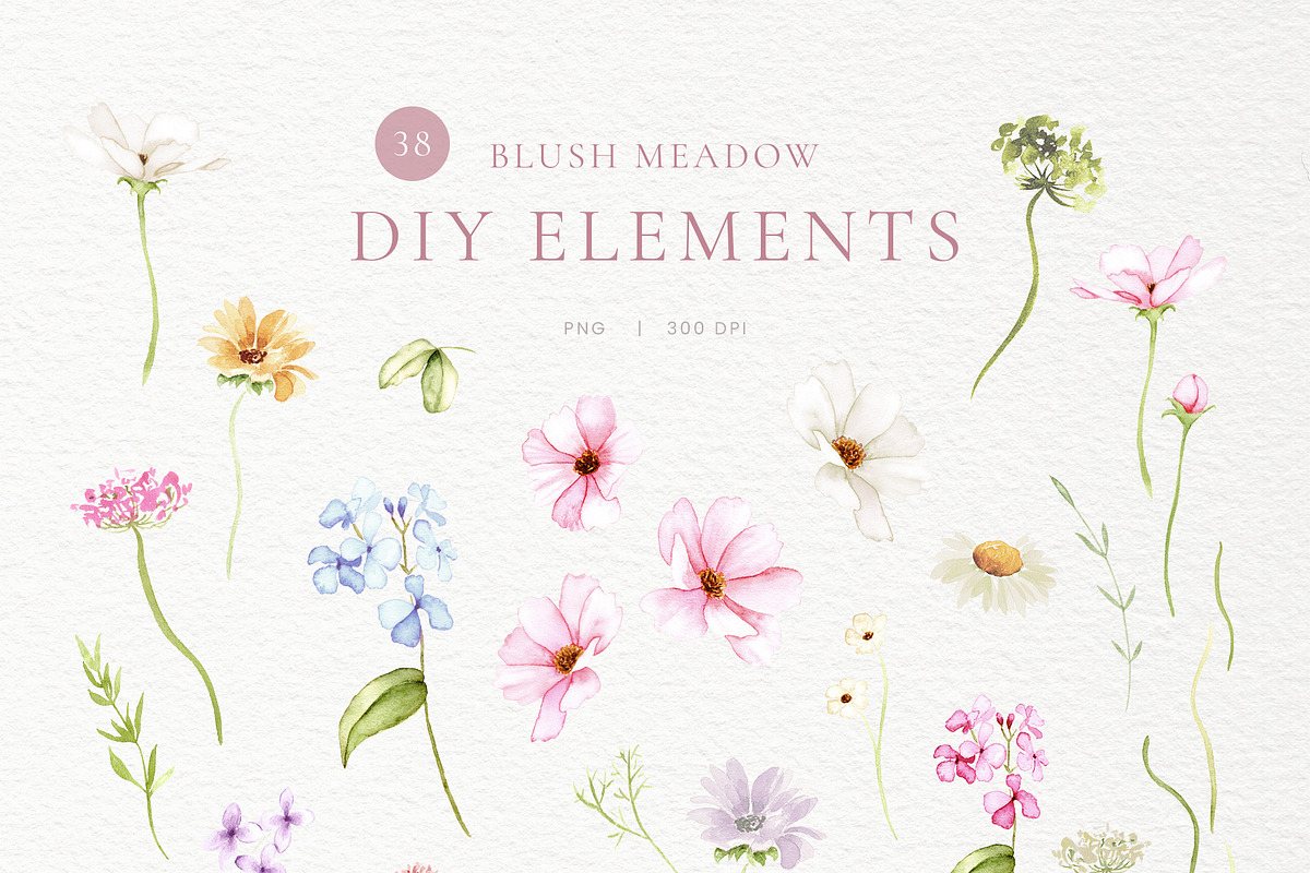 Blush Meadow Watercolor Wildflowers, a Decorative Illustration by Liliia Polos Illustration (Photo 10 of 12)